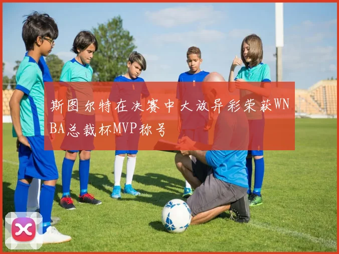 斯图尔特在决赛中大放异彩荣获WNBA总裁杯MVP称号