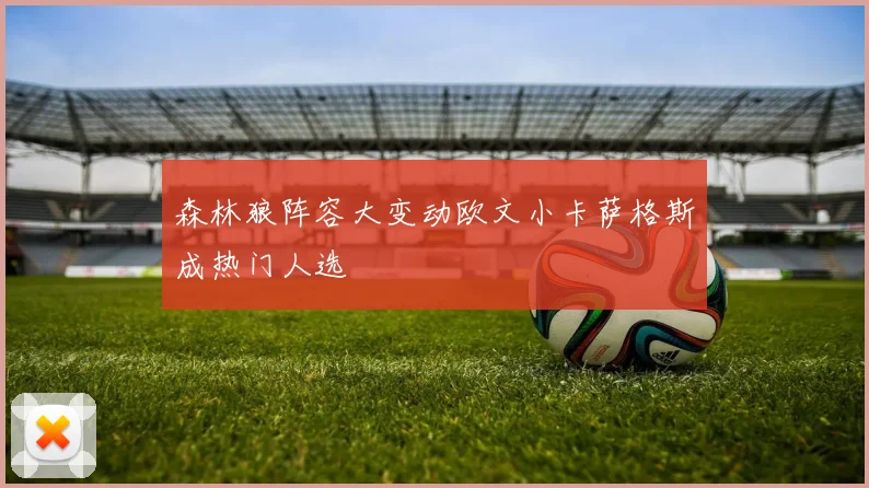 森林狼阵容大变动欧文小卡萨格斯成热门人选